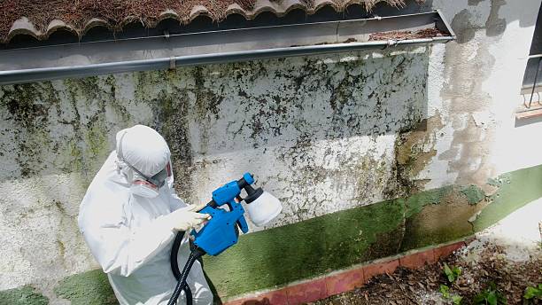 Trusted Commercial Mold Remediation service in Fairview, NJ - Cheap Mold Removal